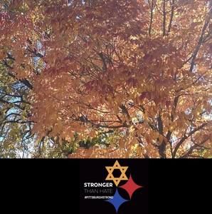 Meet your Posher, Roxanne